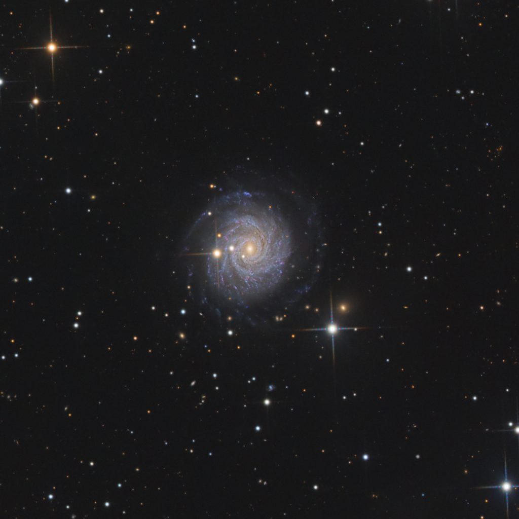 NGC 3344_Crop