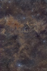LDN 1228